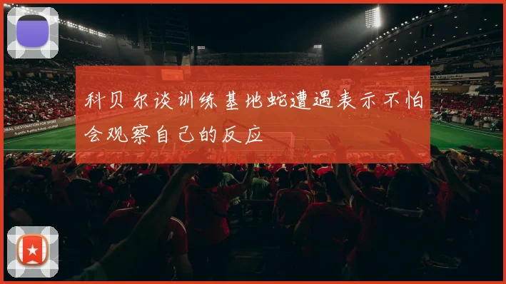 科贝尔谈训练基地蛇遭遇表示不怕会观察自己的反应